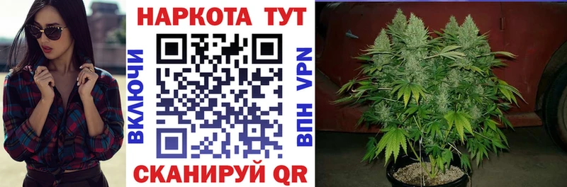Где купить Дмитриев ГАШИШ A-PVP АМФЕТАМИН Канабис МЕФ