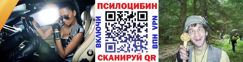 площадка как зайти  Дмитриев  Галлюциногенные грибы Psilocybe 